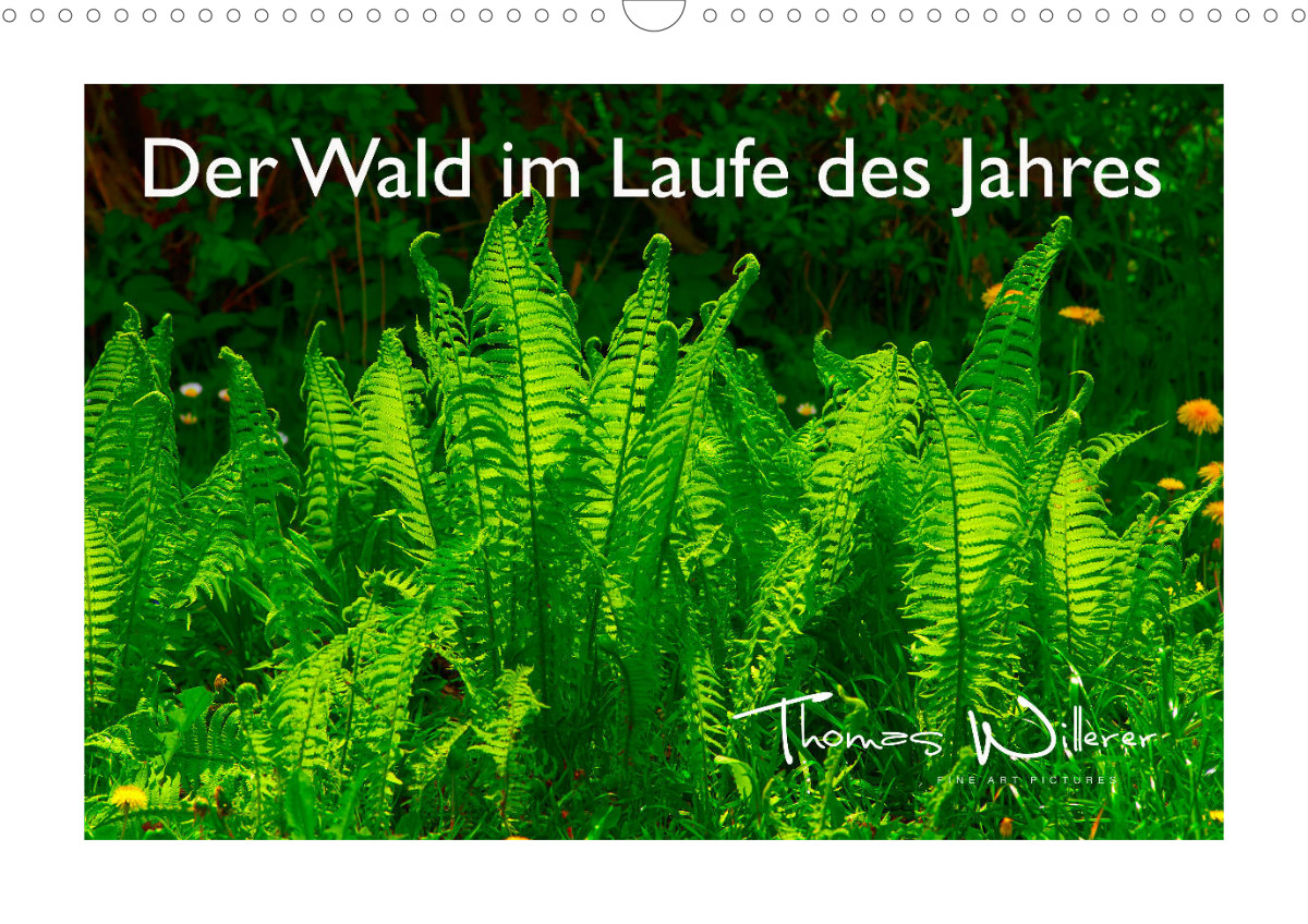 New publication for 2024: Der Wald im Laufe des Jahres